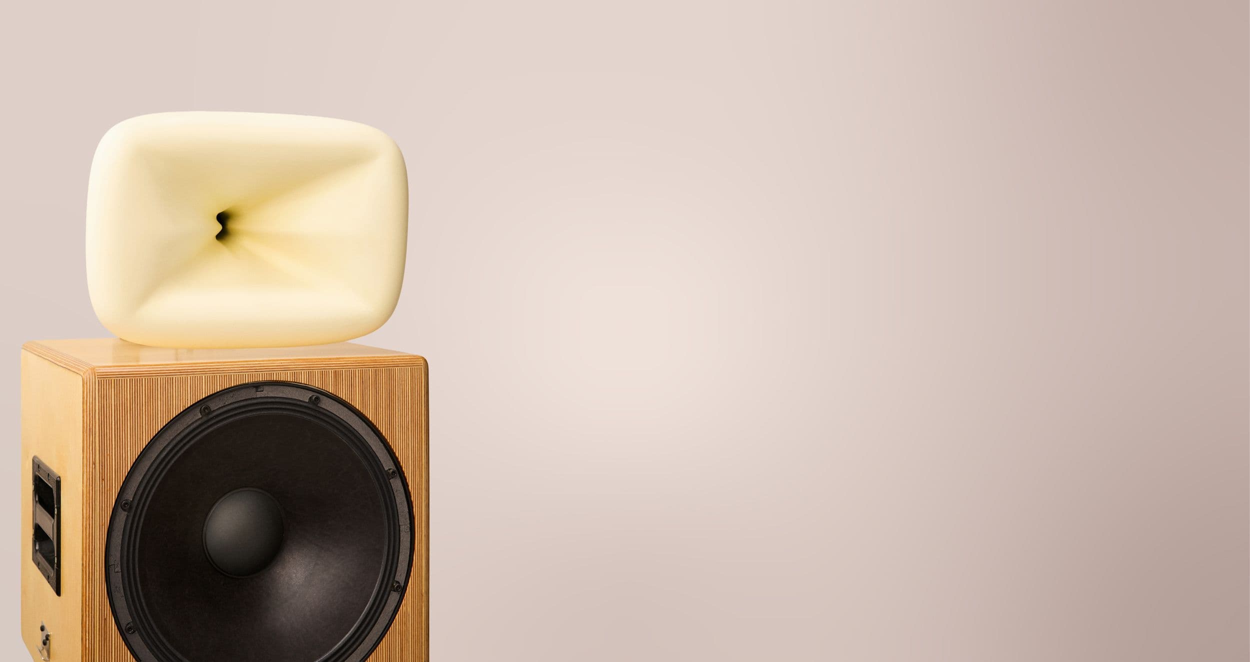 Sound + Color Sunshine system in birch plywood — woofer and Rx-Shape horn